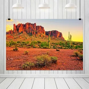 10x6.5ft Sunset Desert Backdrop Mountains Sun Weathered Rock Mountains Plants Gobi Nature Landscape Background Hiking Camping Pictures Home Decor Photo Studio Props