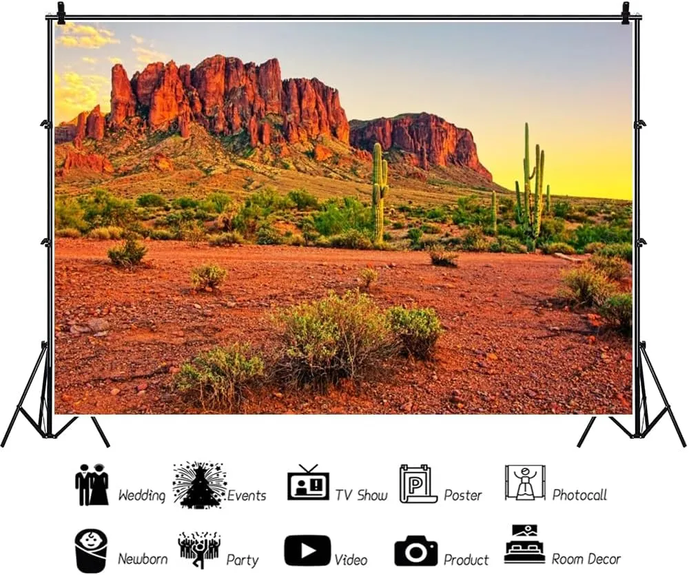 10x6.5ft Sunset Desert Backdrop Mountains Sun Weathered Rock Mountains Plants Gobi Nature Landscape Background Hiking Camping Pictures Home Decor Photo Studio Props