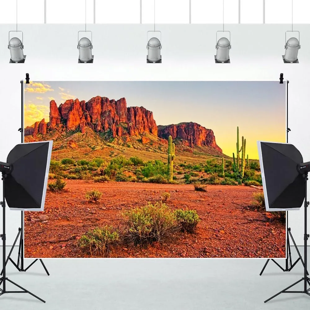 10x6.5ft Sunset Desert Backdrop Mountains Sun Weathered Rock Mountains Plants Gobi Nature Landscape Background Hiking Camping Pictures Home Decor Photo Studio Props