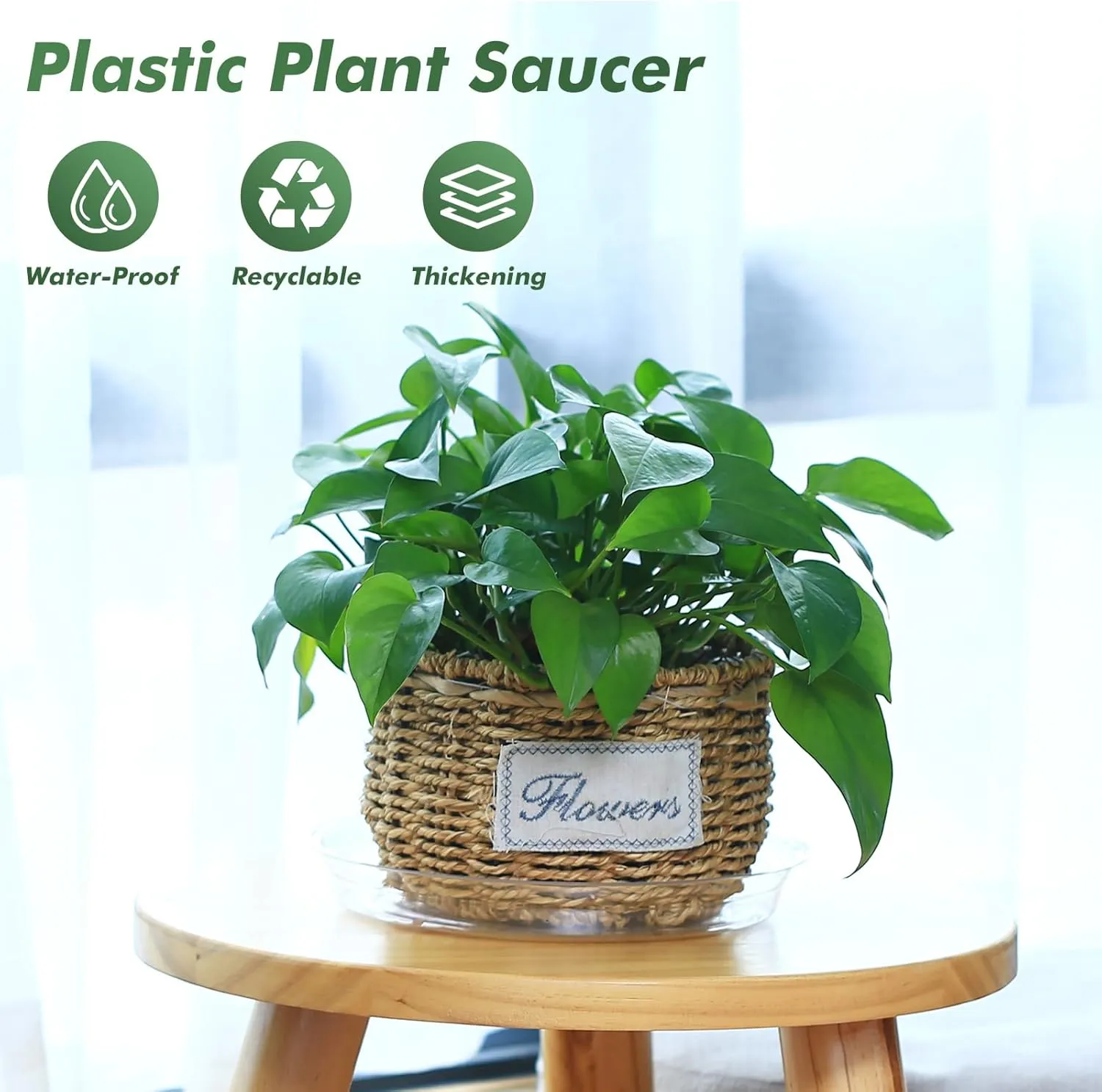 30 Pack Clear Plant Saucers for Indoors (4 6 Inch) Flower Pot Saucers for Potted Plants Plate Set Plant Trays for Indoors No Holes Plants Saucer Trays for Pots Drip Tray Plastic Tray for Succulent