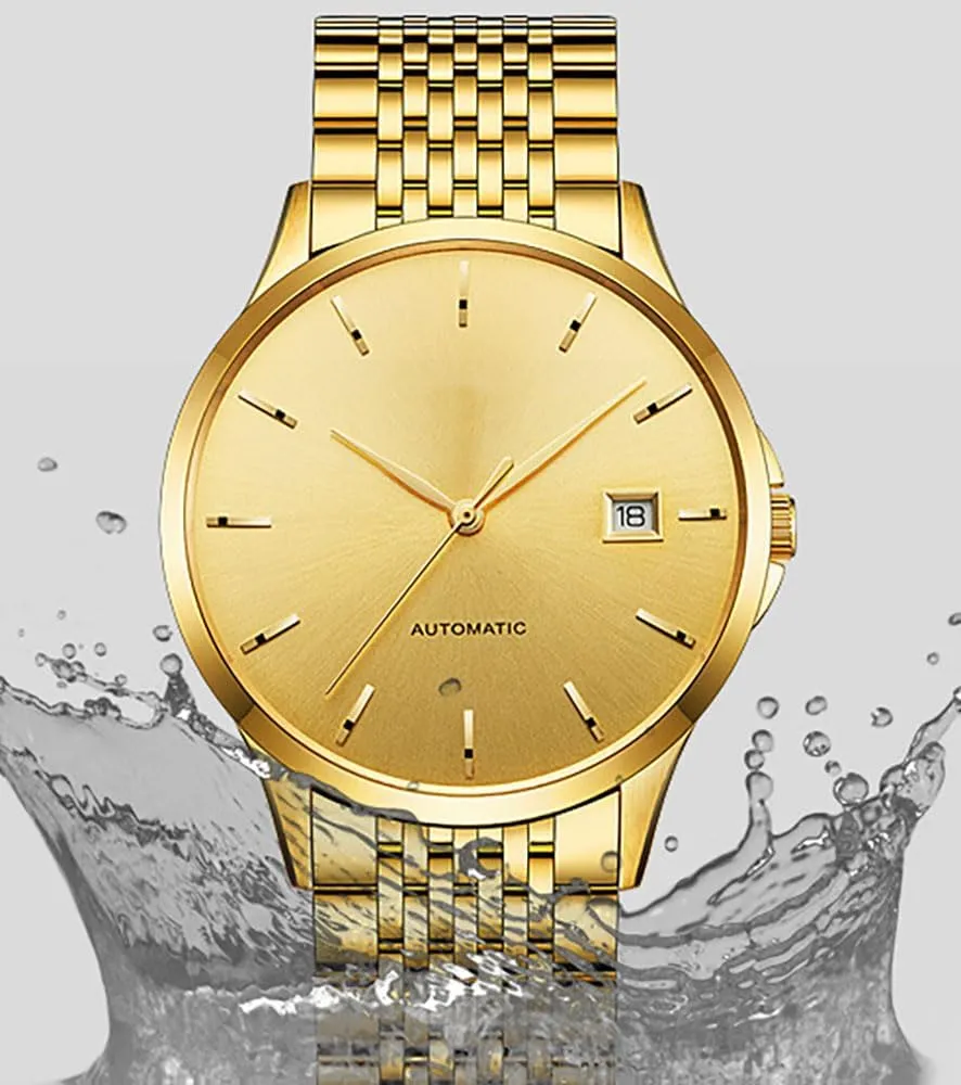 ADSBIAOYE Men's Automatic Watches Luxury Two-Tone Stainless Steel Man Date Watch Waterproof Dress Wrist Watches