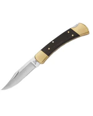 Buck Folding Hunter Knife