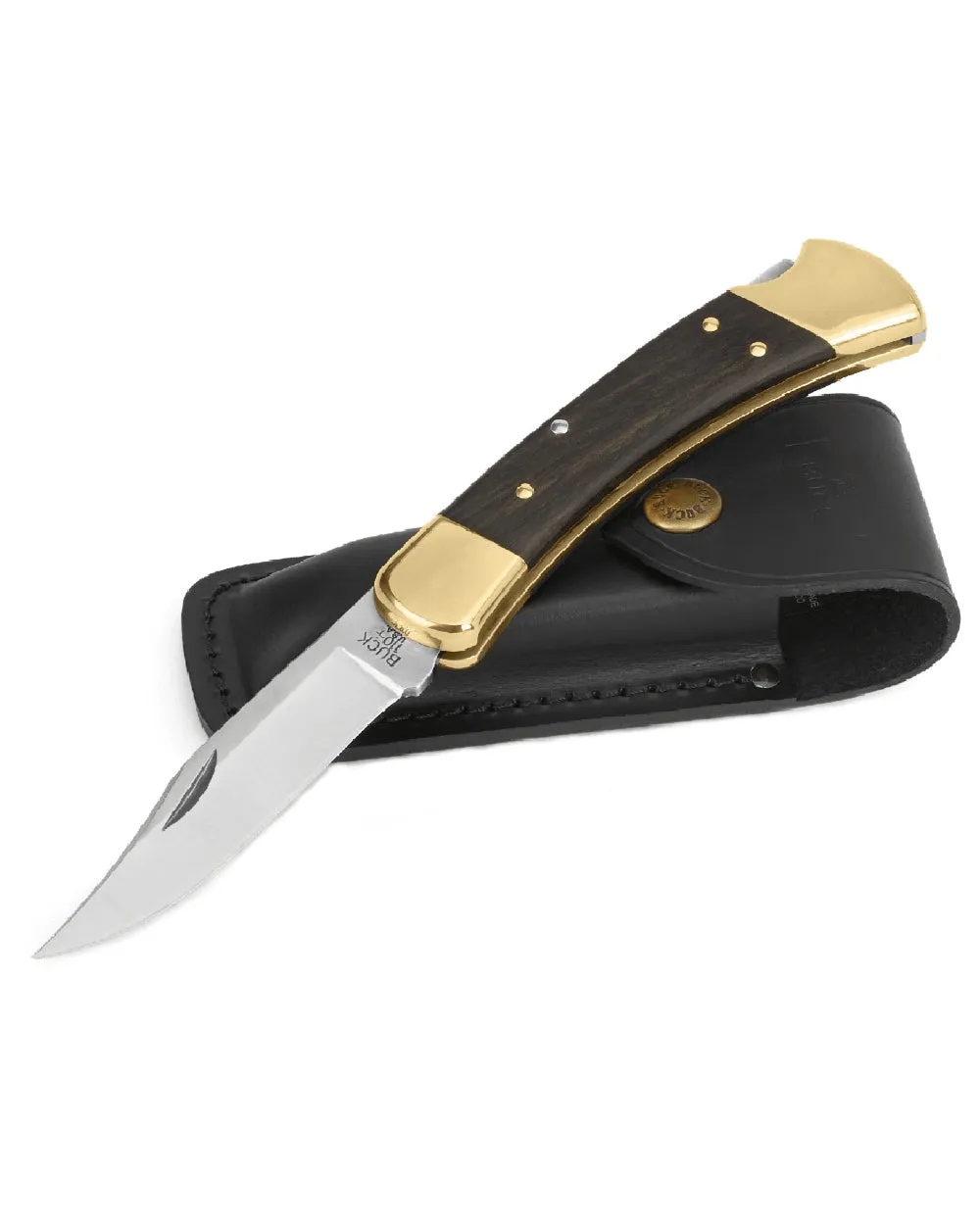 Buck Folding Hunter Knife