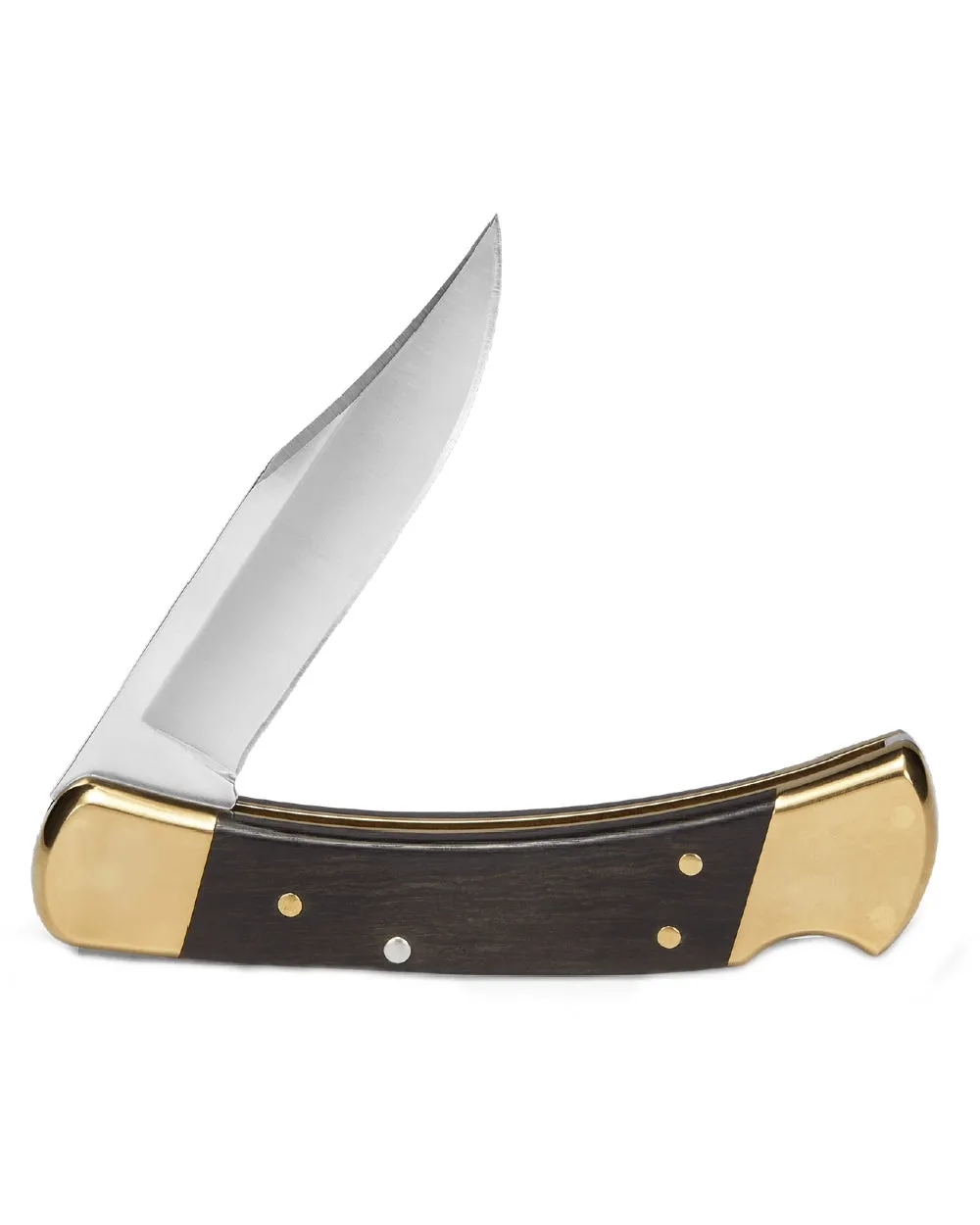 Buck Folding Hunter Knife