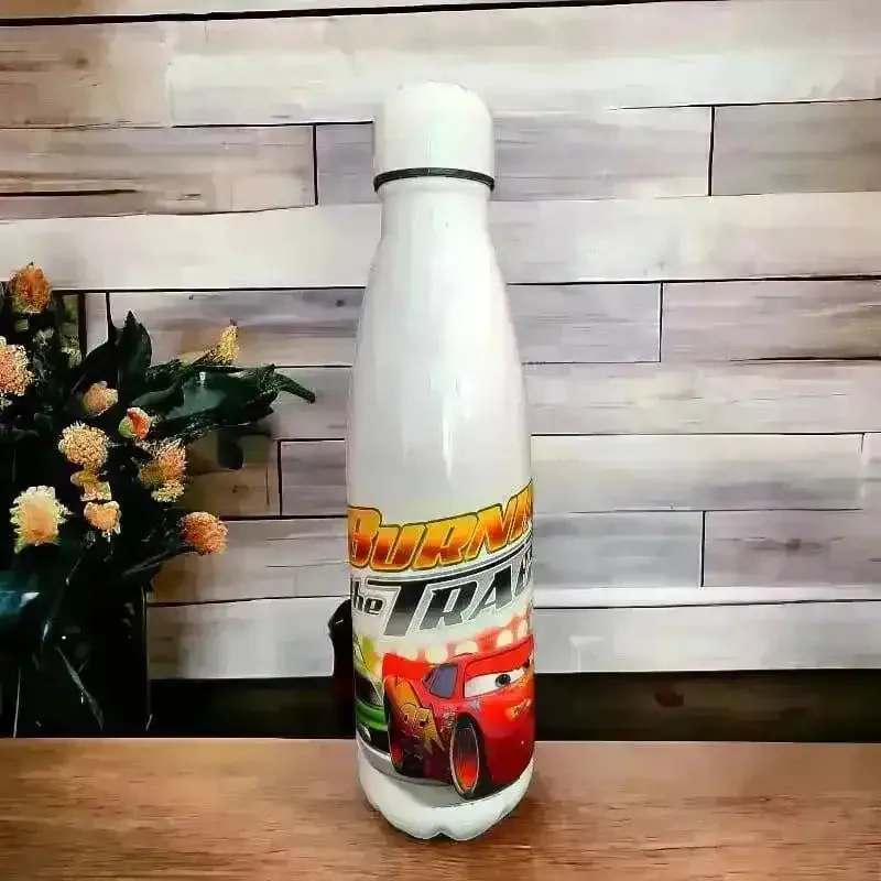 Character Cola Metal Water Bottle (500 ml)