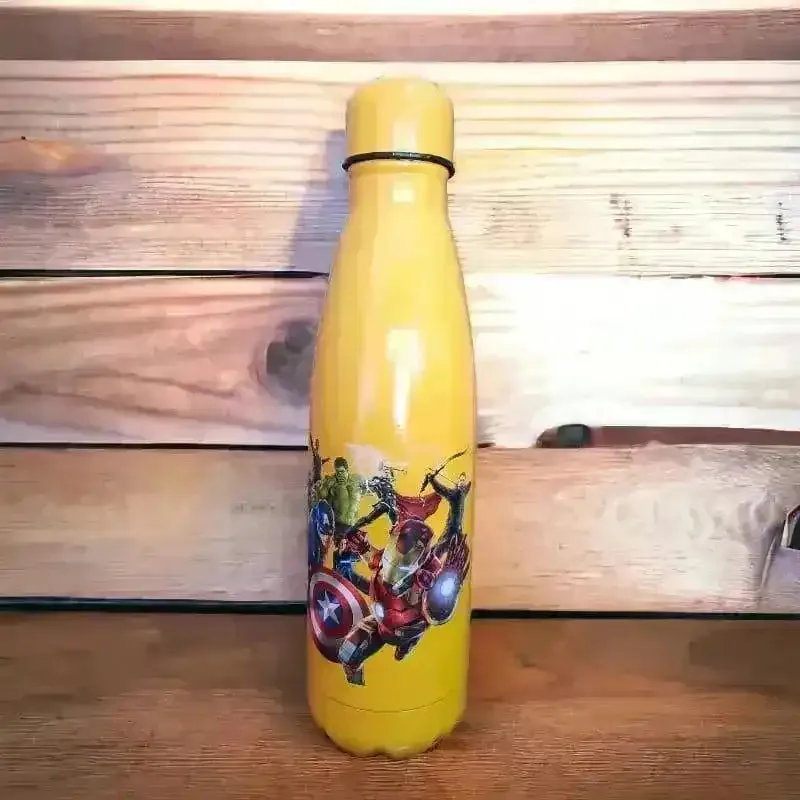 Character Cola Metal Water Bottle (500 ml)