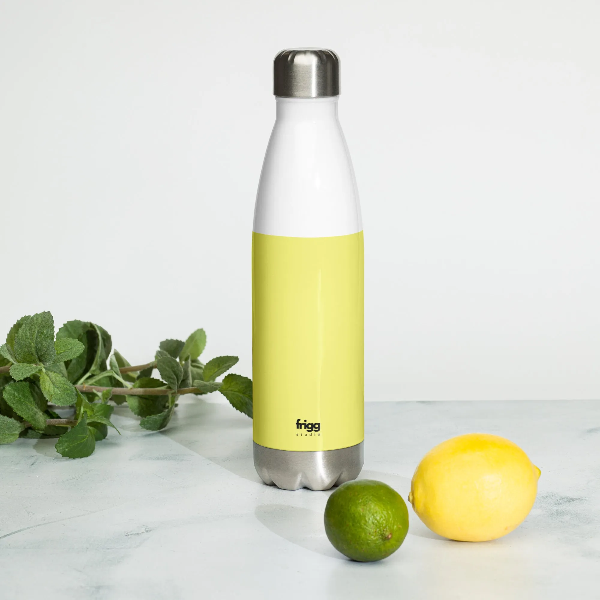 DOLLY - STAINLESS STEEL WATER BOTTLE