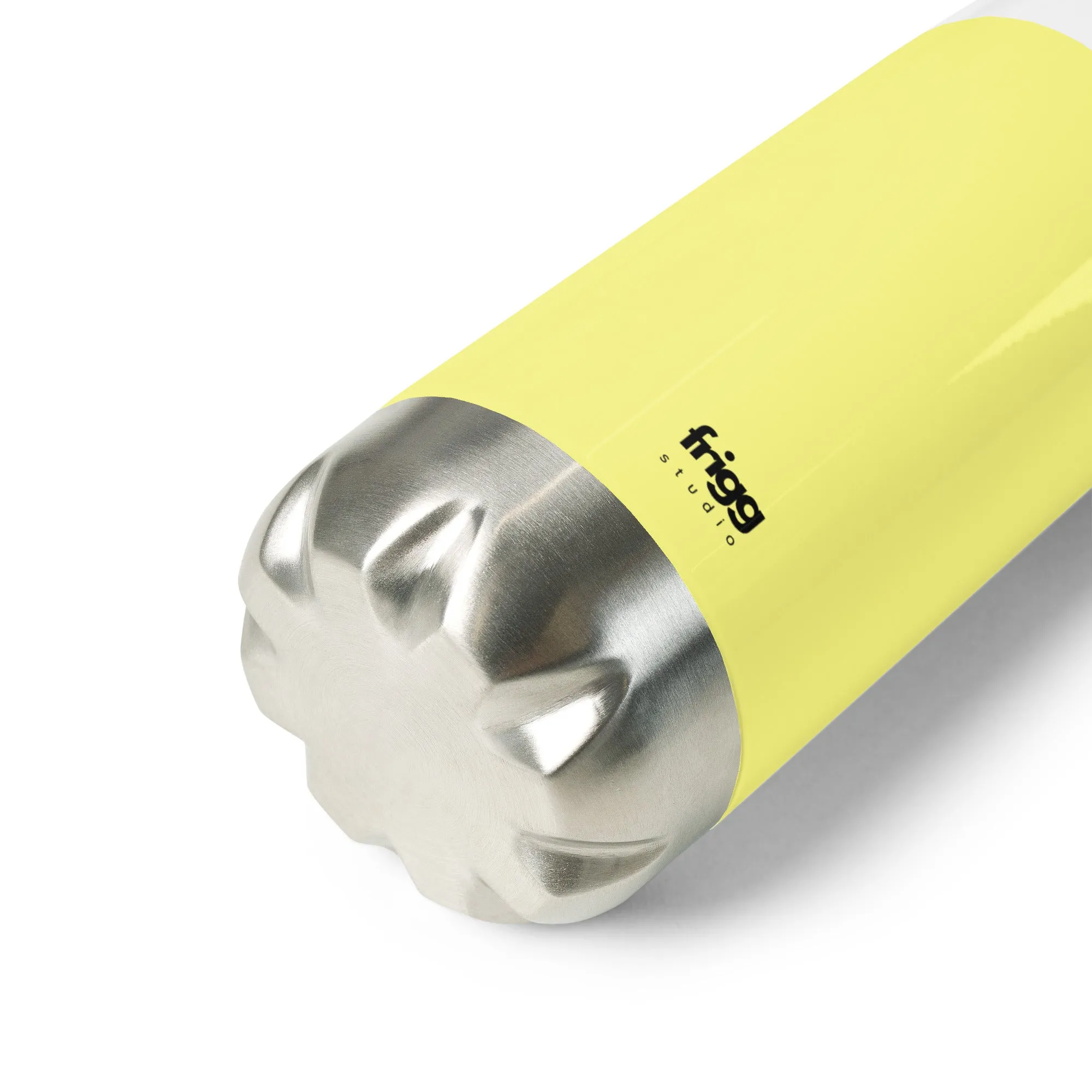 DOLLY - STAINLESS STEEL WATER BOTTLE