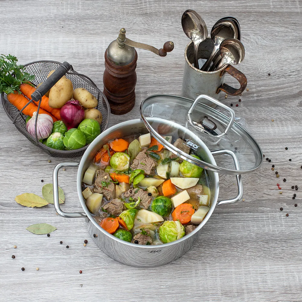 ELO Citrin Casserole Pot 20cm