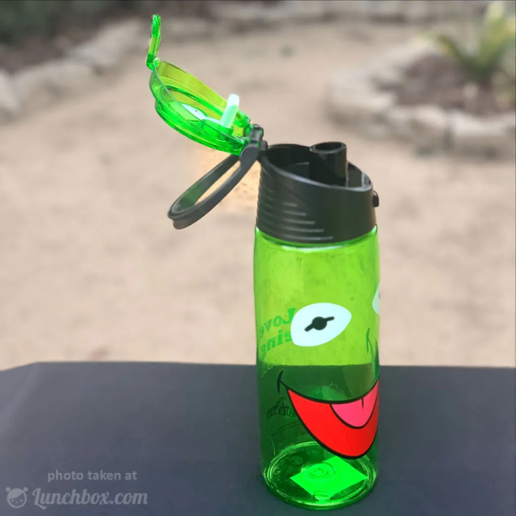 Kermit the Frog Hydro Canteen Bottle