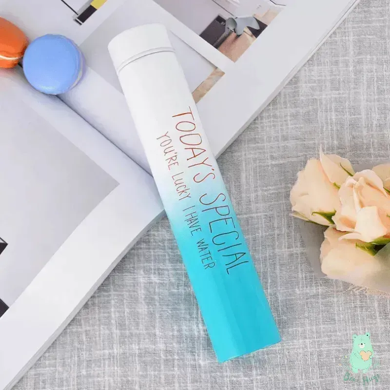 Sleek & Slim Metal Water Bottle (310 ml)