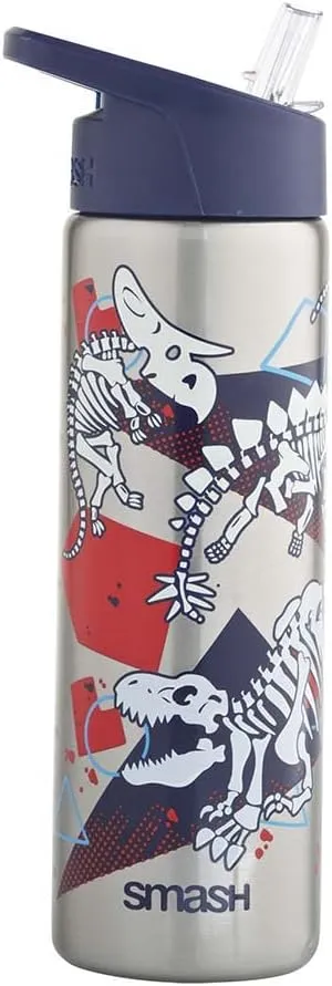 Stainless Steel Color Change Water Bottle 25.3 fl oz - Dinosaur