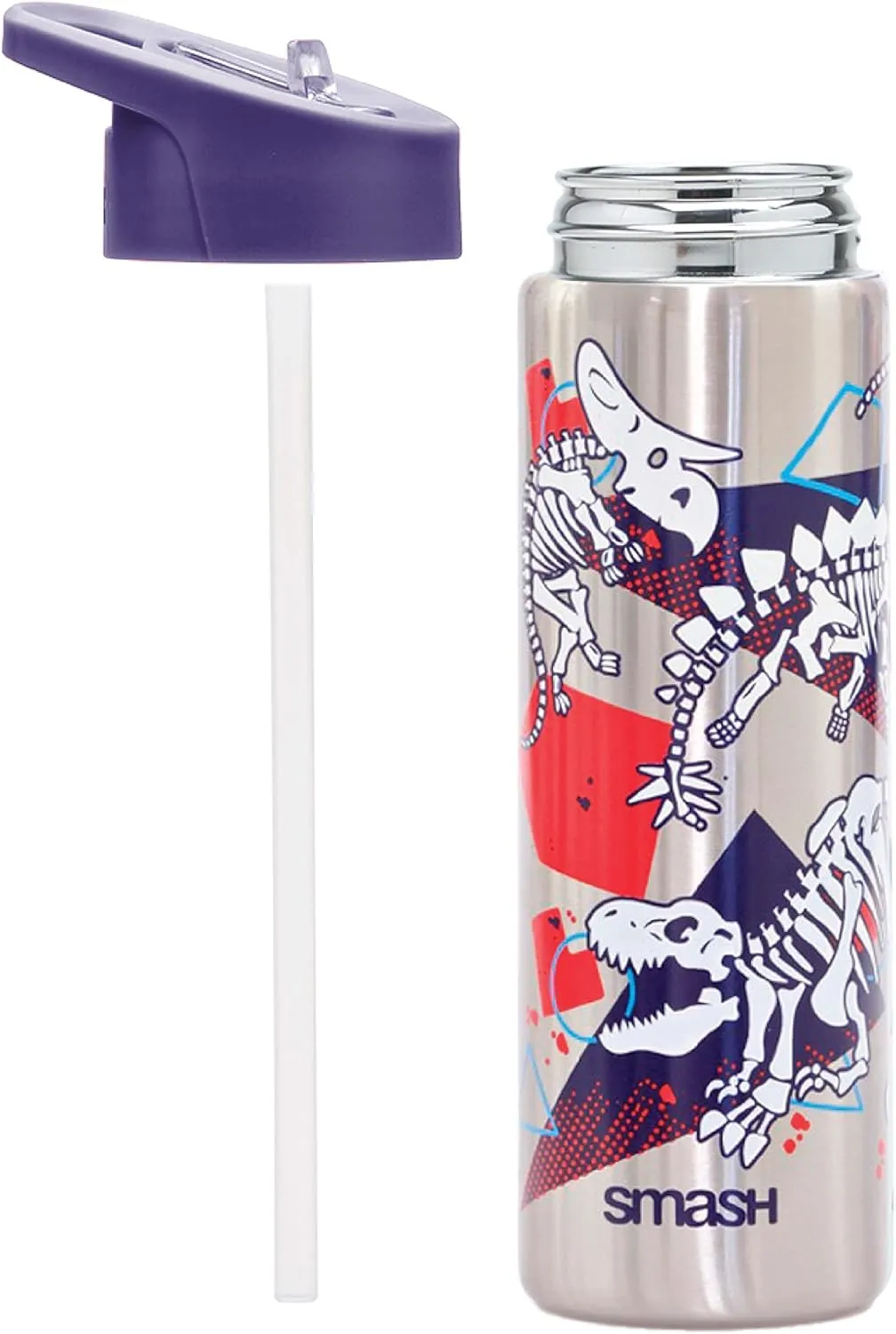Stainless Steel Color Change Water Bottle 25.3 fl oz - Dinosaur