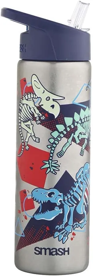 Stainless Steel Color Change Water Bottle 25.3 fl oz - Dinosaur