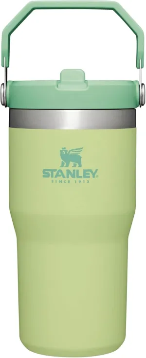 Stanley IceFlow Flip Straw Tumbler with Handle 20 oz | Twist On Lid and Flip Up Straw | Leak Resistant Water Bottle | Insulated Stainless Steel |BPA-Free | Citron