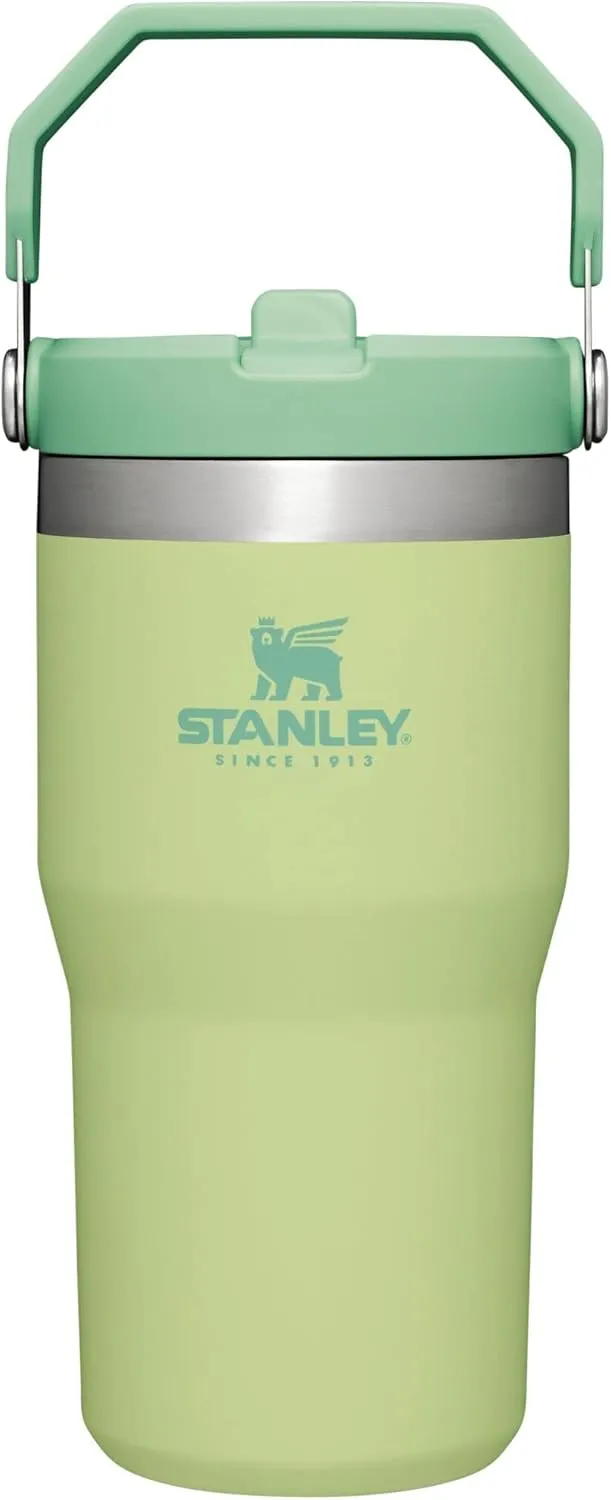 Stanley IceFlow Flip Straw Tumbler with Handle 20 oz | Twist On Lid and Flip Up Straw | Leak Resistant Water Bottle | Insulated Stainless Steel |BPA-Free | Citron