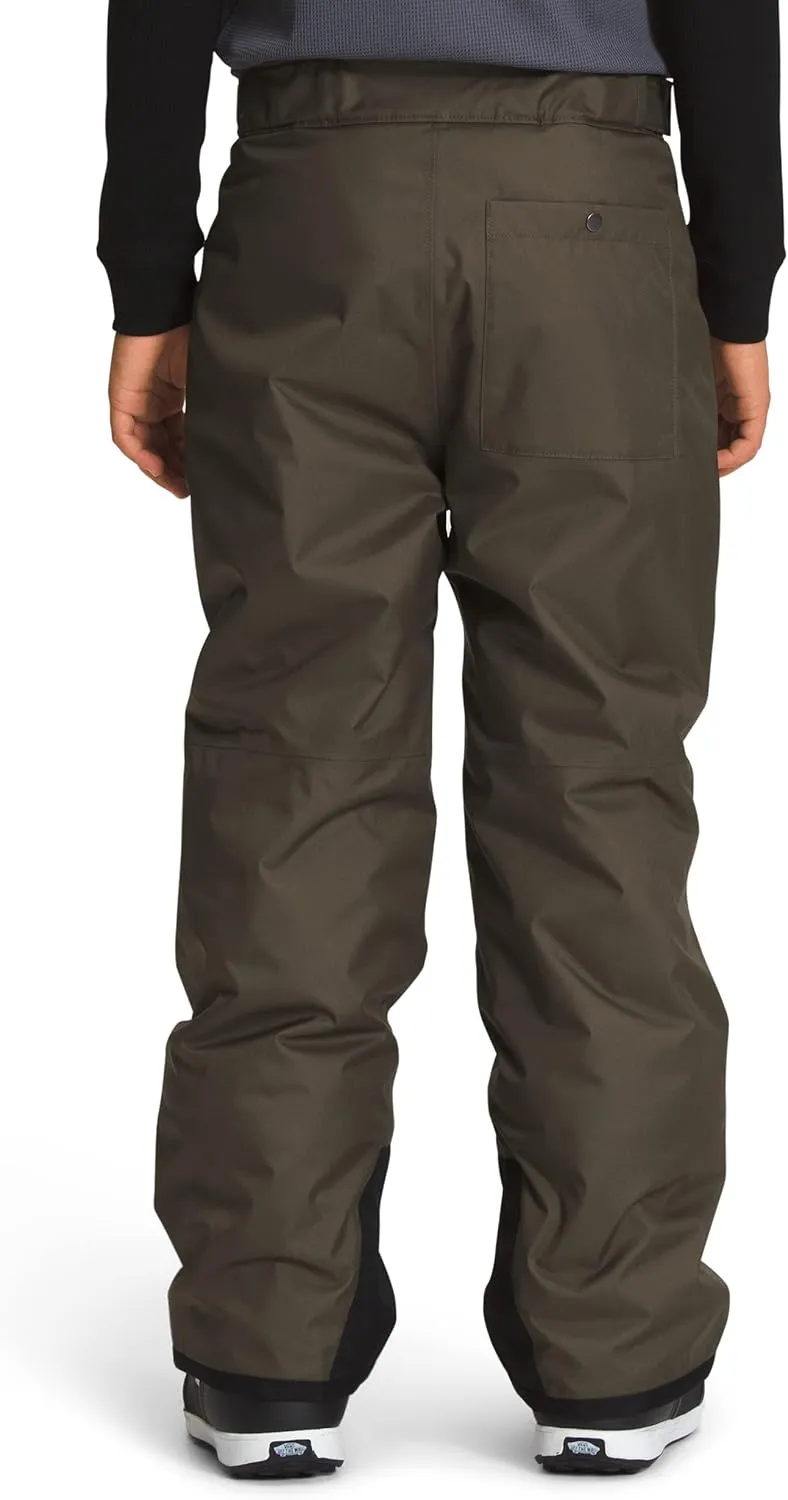 THE NORTH FACE Boys' Freedom Insulated Pant