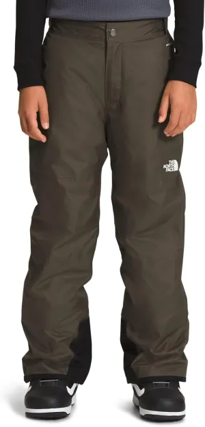 THE NORTH FACE Boys' Freedom Insulated Pant