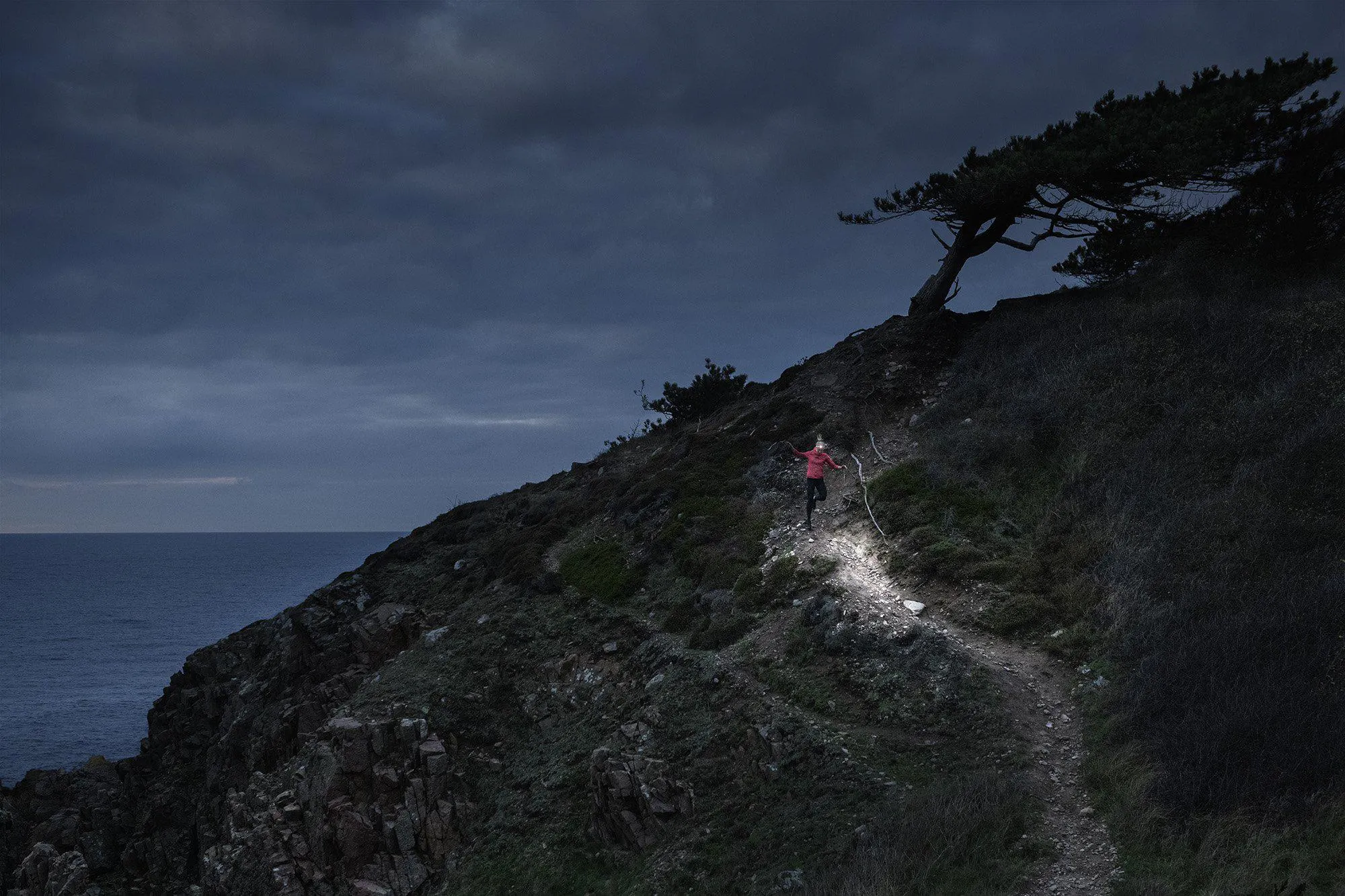 Trail Runner Free H