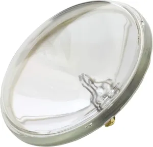 Wagner Lighting 4007 Standard Multi-Purpose Light Bulb Box of 1